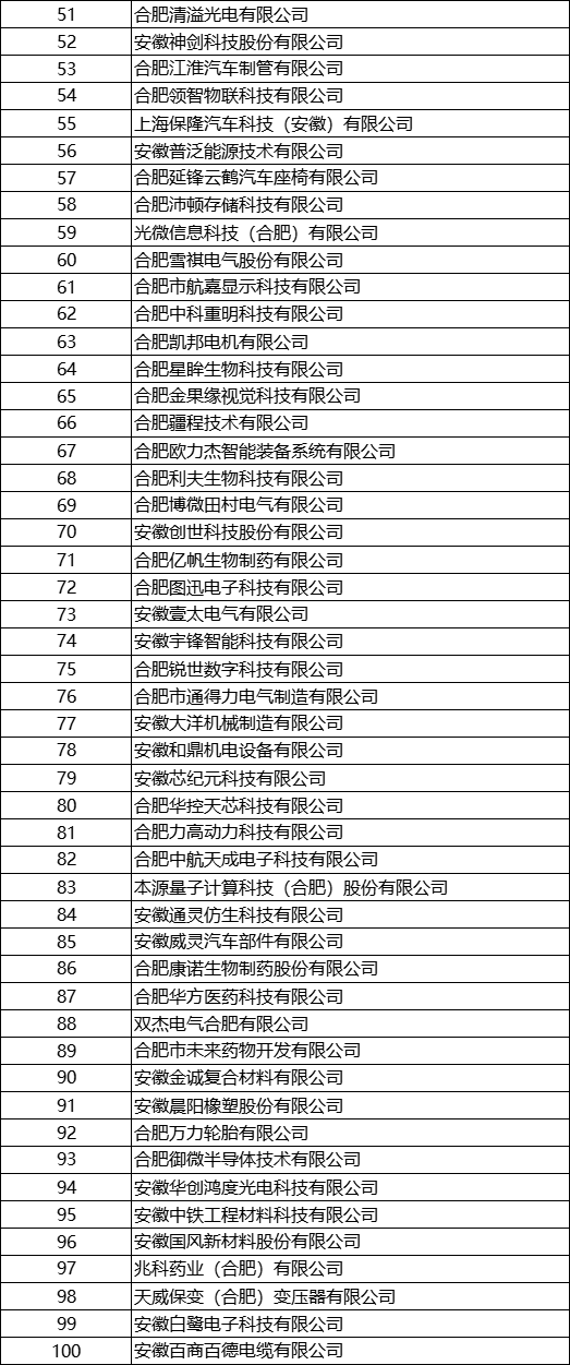 2023年安徽省 專精特新中小企業(yè)完整名單