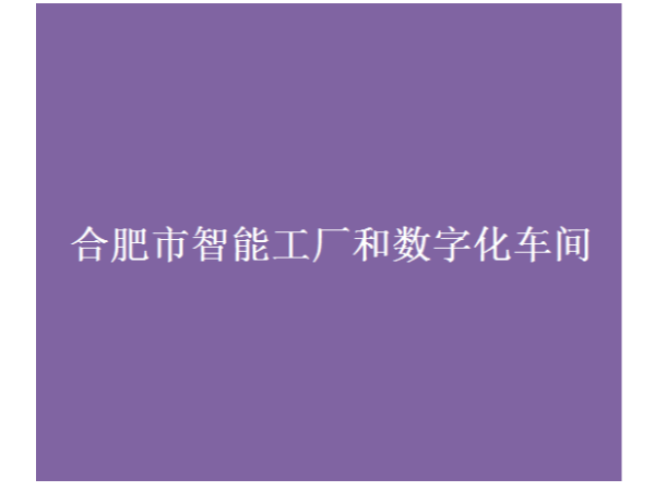 合肥市智能工廠和數(shù)字化車(chē)間認(rèn)定條件