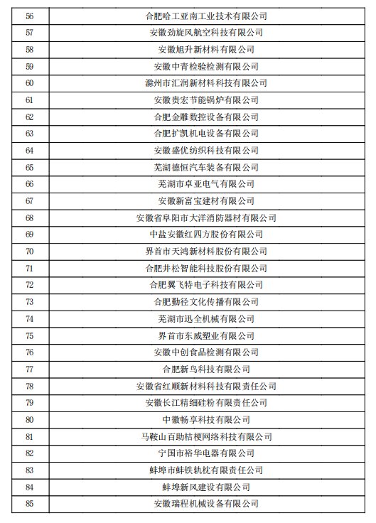 2022年第一批安徽省高新技術(shù)企業(yè)認(rèn)定名單