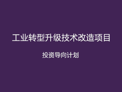 安徽省工業(yè)轉型升級技術改造項目投資導向計劃申報條件